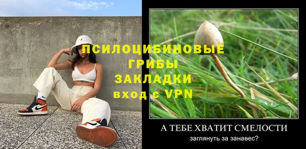 МДПВ Алзамай