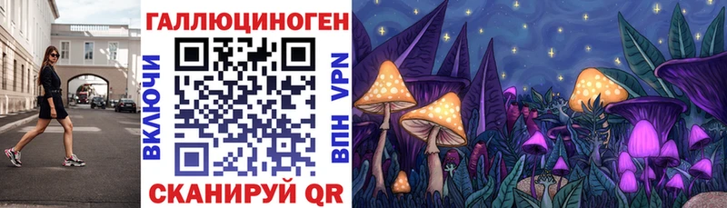Псилоцибиновые грибы прущие грибы  цена наркотик  Рубцовск 