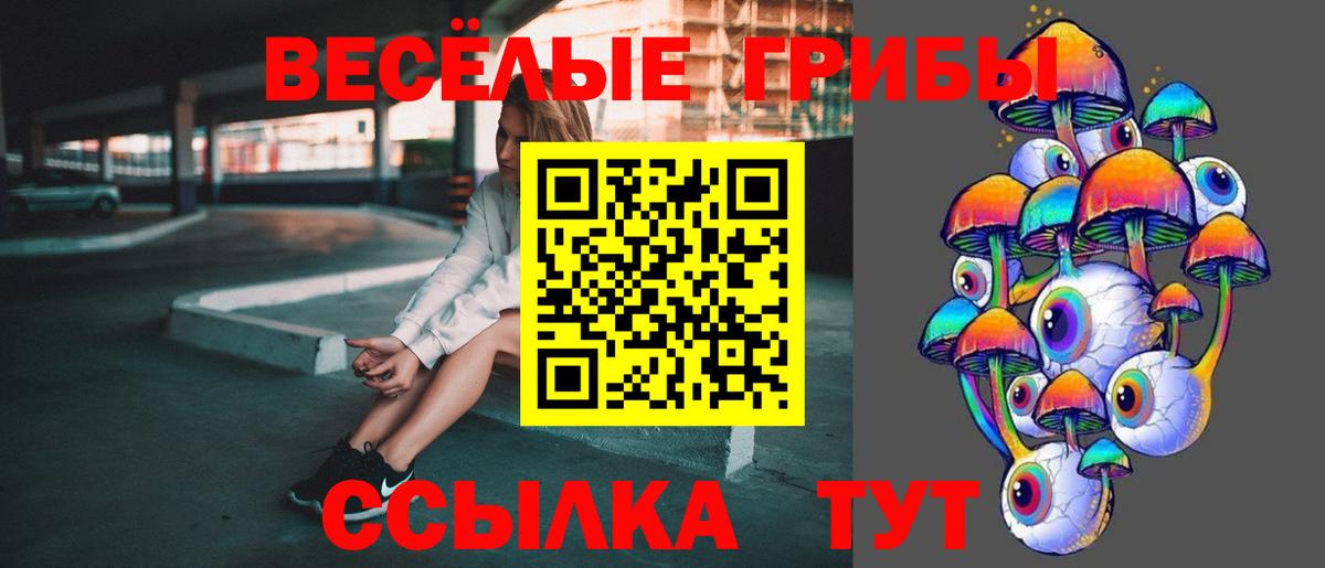Псилоцибиновые грибы мухоморы Рубцовск