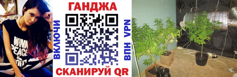 Бошки Шишки ГИДРОПОН  как найти наркотики  Рубцовск 